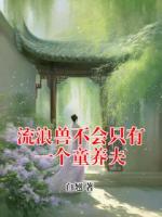 白啸糯糯小说流浪兽不会只有一个童养夫免费阅读全本大结局