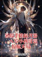 暑假手搓探月器，八岁小孩哥震惊航天局小说免费阅读全文(林川栾星河)无删减