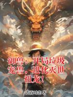 【御兽：开局垃圾宠兽，进化灭世祖龙！全文免费阅读】陆铭陆小鱼小说章节目录