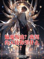 魅魔叛逃？我契约天使你哭什么？免费阅读 陆阳陈耀完整版txt全本