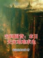 主人公黄珂宋琳的小说空间囤货：末日天灾艰难求生全文免费阅读