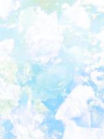 【重生后，我打脸可爱包同事大结局】阮娇娇裴远泽无弹窗全文阅读