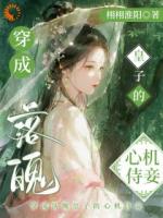 林茉谢沉小说免费阅读全文入口最新章节