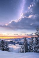 陆明远赵虎的小说大唐洗冤手札完整版在线阅读网站