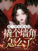 温絮陈修远的小说陈三爷无名无份，撬个墙角怎么了？完整版在线阅读网站