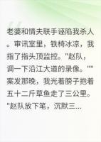 被老婆送进审讯室，我掏出了一条五十二斤的不在场证明