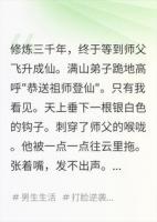 沈钩陆青平小说免费阅读全文入口最新章节