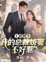上错婚车：我的总裁娇妻不好惹在哪能免费看 萧何沈清寒小说全文免费阅读