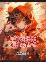 【【原神观影体】狼狈的逃离全文免费阅读】派蒙迪卢克柯莱小说章节目录