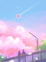 楚淼最新章节全文免费阅读 破茧婚礼全章