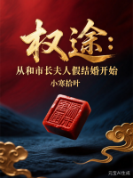 林川白雪权途：从和市长夫人假结婚开始小说全本免费阅读无广告