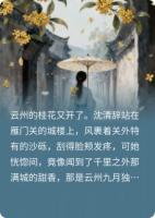 云州月，边疆雪：将军与书生的乱世情全文免费阅读 沈清辞苏砚之全部章节目录