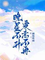 晚星不升，爱意不再