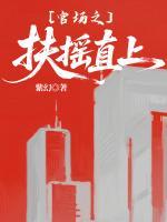 官场之扶摇直上全文免费阅读大结局无删减完整版