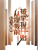 权力巅峰：从提拔前被举报开始by文萧萧全文免费阅读最新章节目录