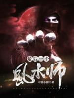 陆炎宋佳佳免费全文阅读最新章节 最后一个风水师结局