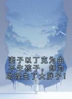 【主角丁克宋清思】妻子以丁克为由不生孩子，却为助理生了大胖子！txt全文阅读