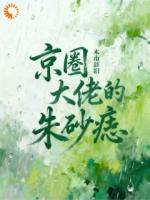 四年追逐，大佬迎娶小甜妻了！