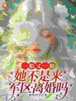 一胎又一胎，她不是来军区离婚吗