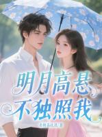 明月高悬不独照我